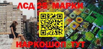 сатива Обнинск