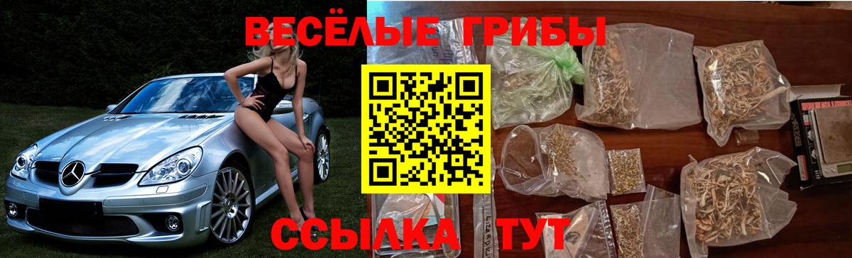 Галлюциногенные грибы Cubensis Сибай