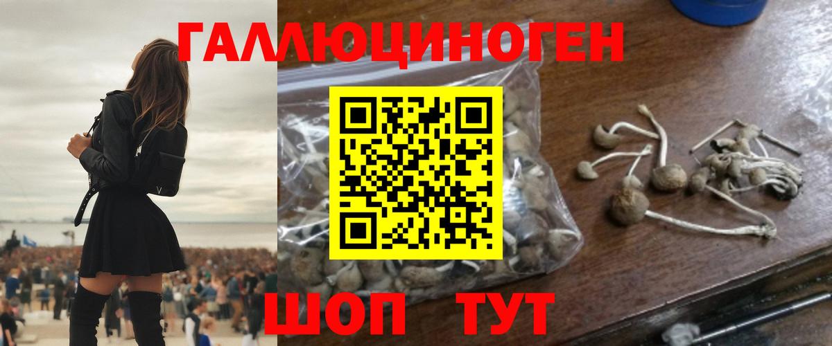 Псилоцибиновые грибы Cubensis  Вход с VPN  Сибай 